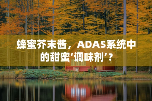 蜂蜜芥末酱，ADAS系统中的甜蜜‘调味剂’？