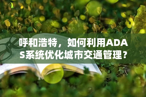 呼和浩特，如何利用ADAS系统优化城市交通管理？