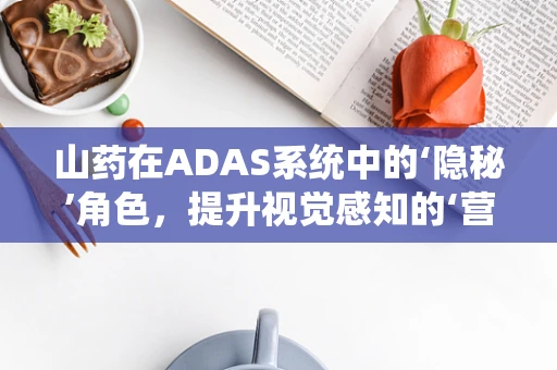 山药在ADAS系统中的‘隐秘’角色，提升视觉感知的‘营养’