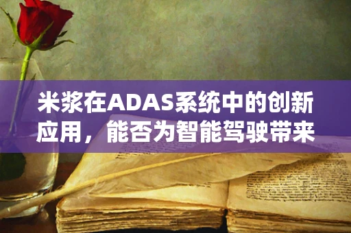 米浆在ADAS系统中的创新应用，能否为智能驾驶带来新视角？