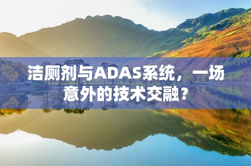 洁厕剂与ADAS系统，一场意外的技术交融？