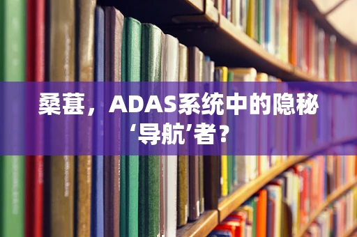 桑葚，ADAS系统中的隐秘‘导航’者？