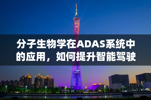 分子生物学在ADAS系统中的应用，如何提升智能驾驶的‘生物智慧’？