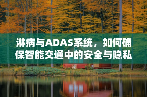 淋病与ADAS系统，如何确保智能交通中的安全与隐私？