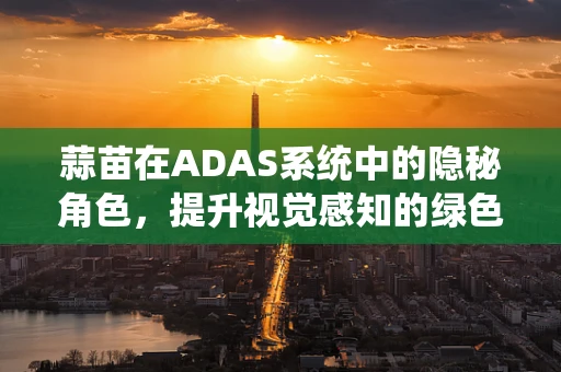 蒜苗在ADAS系统中的隐秘角色，提升视觉感知的绿色奇迹？