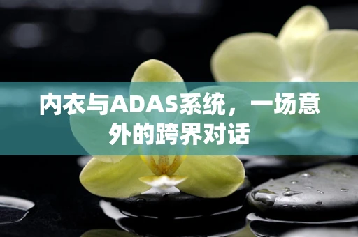 内衣与ADAS系统，一场意外的跨界对话