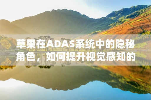 草果在ADAS系统中的隐秘角色，如何提升视觉感知的精准度？