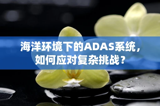 海洋环境下的ADAS系统，如何应对复杂挑战？