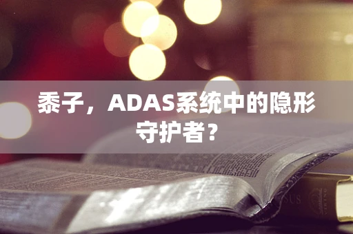 黍子，ADAS系统中的隐形守护者？