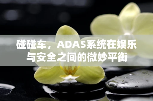 碰碰车，ADAS系统在娱乐与安全之间的微妙平衡