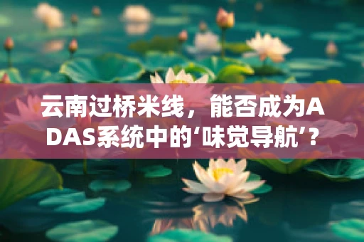 云南过桥米线，能否成为ADAS系统中的‘味觉导航’？