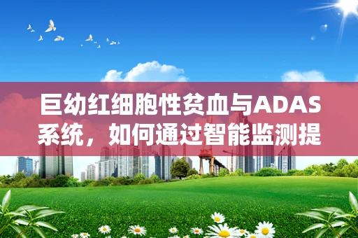 巨幼红细胞性贫血与ADAS系统，如何通过智能监测提升早期诊断效率？