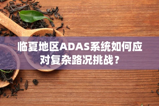 临夏地区ADAS系统如何应对复杂路况挑战？