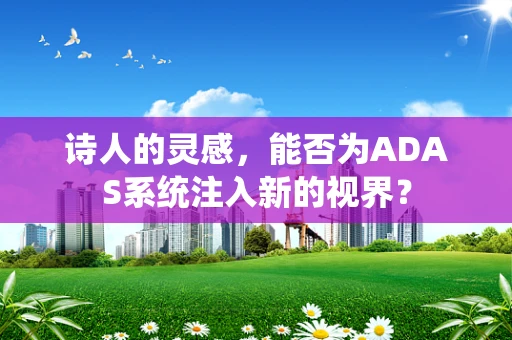 诗人的灵感，能否为ADAS系统注入新的视界？