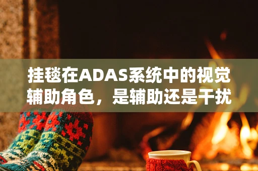 挂毯在ADAS系统中的视觉辅助角色，是辅助还是干扰？