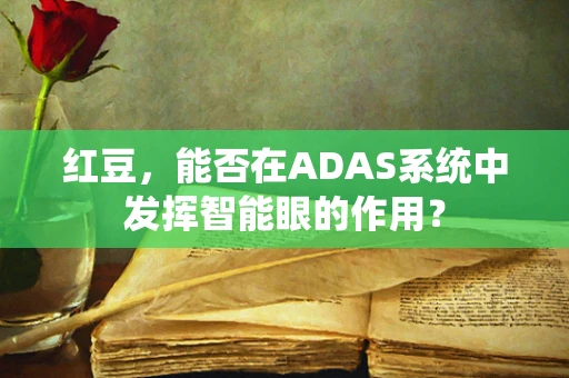 红豆，能否在ADAS系统中发挥智能眼的作用？
