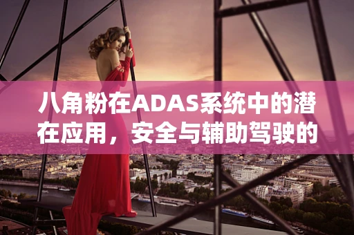 八角粉在ADAS系统中的潜在应用，安全与辅助驾驶的味觉新维度？