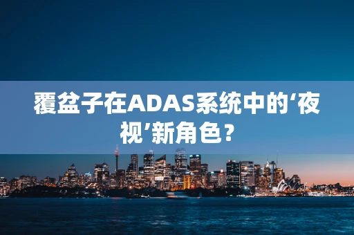 覆盆子在ADAS系统中的‘夜视’新角色？