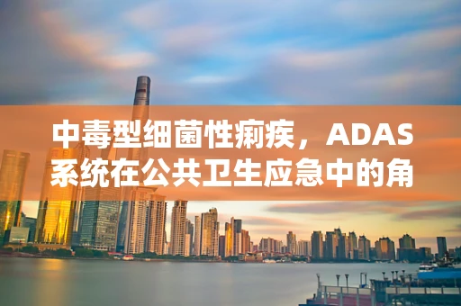 中毒型细菌性痢疾，ADAS系统在公共卫生应急中的角色与挑战？