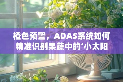 橙色预警，ADAS系统如何精准识别果蔬中的‘小太阳’？
