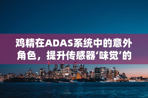 鸡精在ADAS系统中的意外角色，提升传感器‘味觉’的秘密？