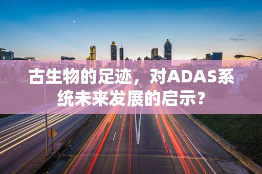 古生物的足迹，对ADAS系统未来发展的启示？
