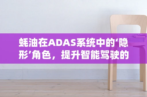 蚝油在ADAS系统中的‘隐形’角色，提升智能驾驶的‘鲜美’体验？