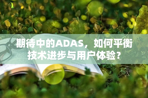 期待中的ADAS，如何平衡技术进步与用户体验？