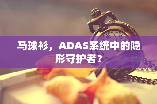 马球衫，ADAS系统中的隐形守护者？