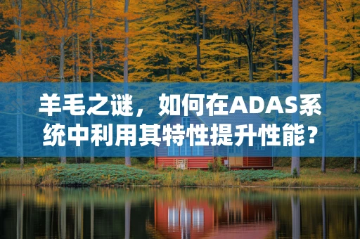 羊毛之谜，如何在ADAS系统中利用其特性提升性能？