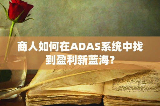 商人如何在ADAS系统中找到盈利新蓝海？