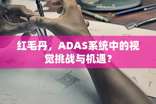 红毛丹，ADAS系统中的视觉挑战与机遇？