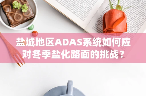 盐城地区ADAS系统如何应对冬季盐化路面的挑战？