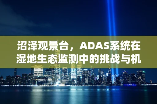 沼泽观景台，ADAS系统在湿地生态监测中的挑战与机遇？