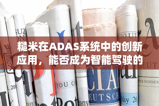糙米在ADAS系统中的创新应用，能否成为智能驾驶的‘营养’之选？