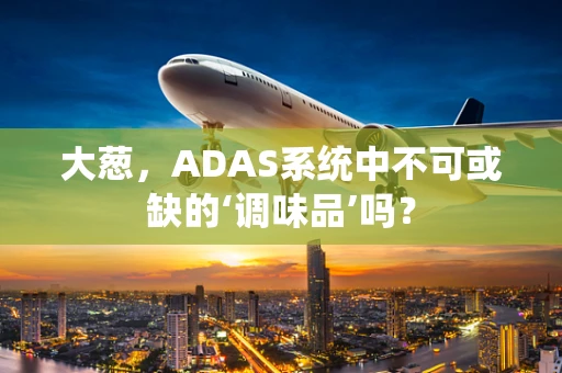 大葱，ADAS系统中不可或缺的‘调味品’吗？