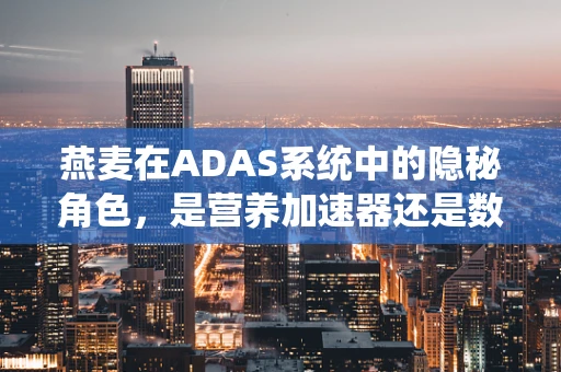 燕麦在ADAS系统中的隐秘角色，是营养加速器还是数据保护盾？