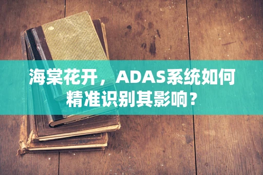 海棠花开，ADAS系统如何精准识别其影响？