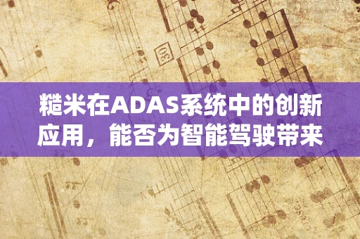 糙米在ADAS系统中的创新应用，能否为智能驾驶带来‘绿色’新动力？