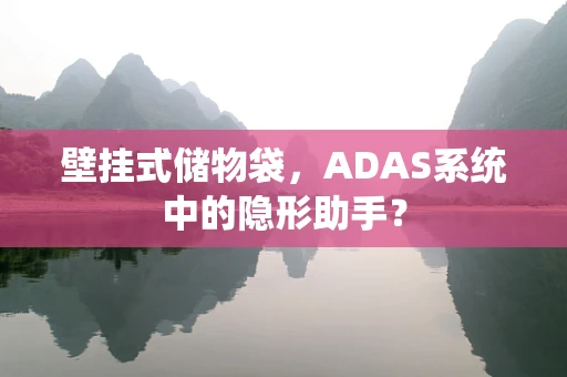 壁挂式储物袋，ADAS系统中的隐形助手？