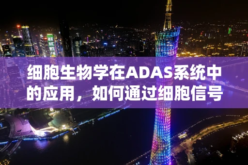 细胞生物学在ADAS系统中的应用，如何通过细胞信号通路优化算法？