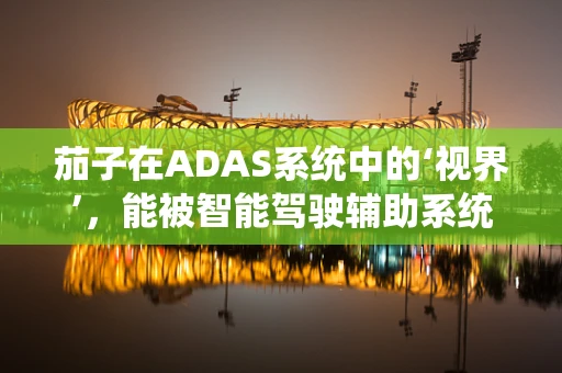 茄子在ADAS系统中的‘视界’，能被智能驾驶辅助系统‘看’懂吗？