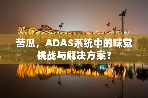 苦瓜，ADAS系统中的味觉挑战与解决方案？