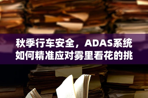 秋季行车安全，ADAS系统如何精准应对雾里看花的挑战？