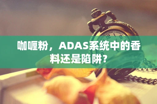 咖喱粉，ADAS系统中的香料还是陷阱？