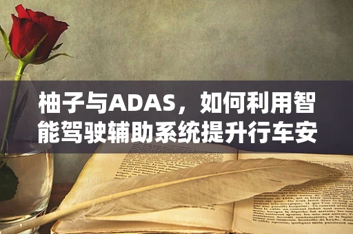 柚子与ADAS，如何利用智能驾驶辅助系统提升行车安全？