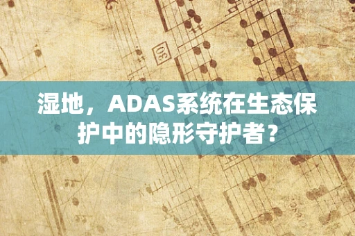 湿地，ADAS系统在生态保护中的隐形守护者？