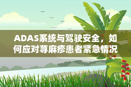 ADAS系统与驾驶安全，如何应对荨麻疹患者紧急情况？