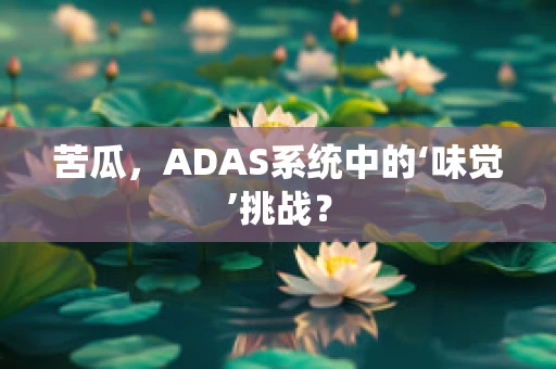 苦瓜，ADAS系统中的‘味觉’挑战？