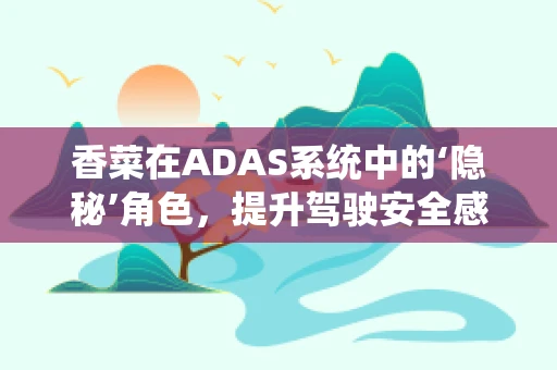 香菜在ADAS系统中的‘隐秘’角色，提升驾驶安全感的奇妙香料？